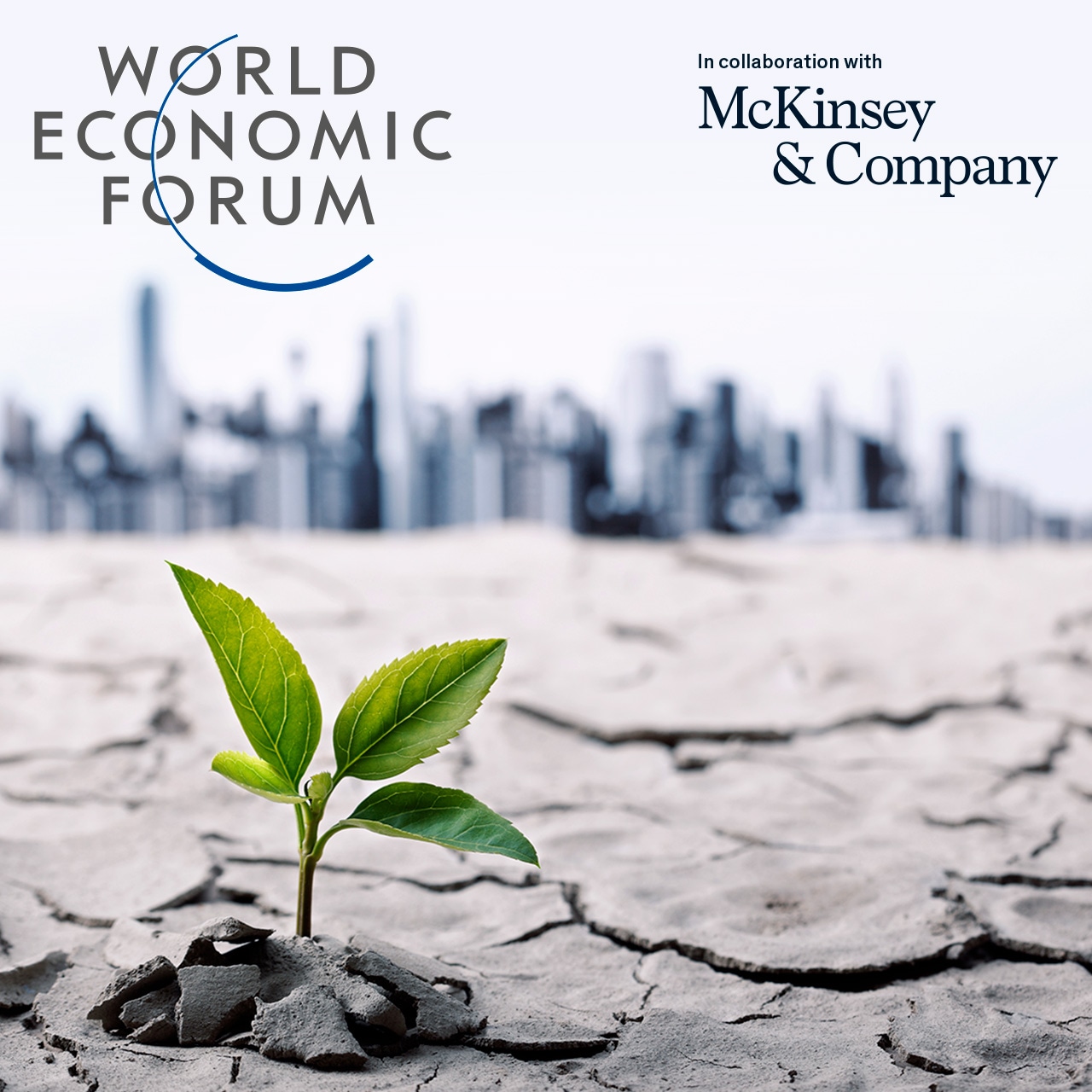 Resilience For Sustainable, Inclusive Growth | McKinsey